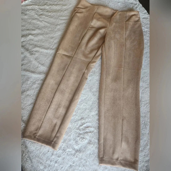 LG Beige Poly Slacks by Zac & Rachel - Picture 1 of 7